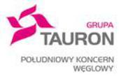 TAURON Wydobycie zamiast PKW