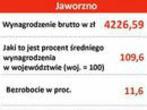 Forsal.pl: w Jaworznie zarabia się średnio 4226,59 zł