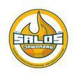 Liga Halowa SALOS 2014