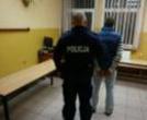 Wandal w rękach policji