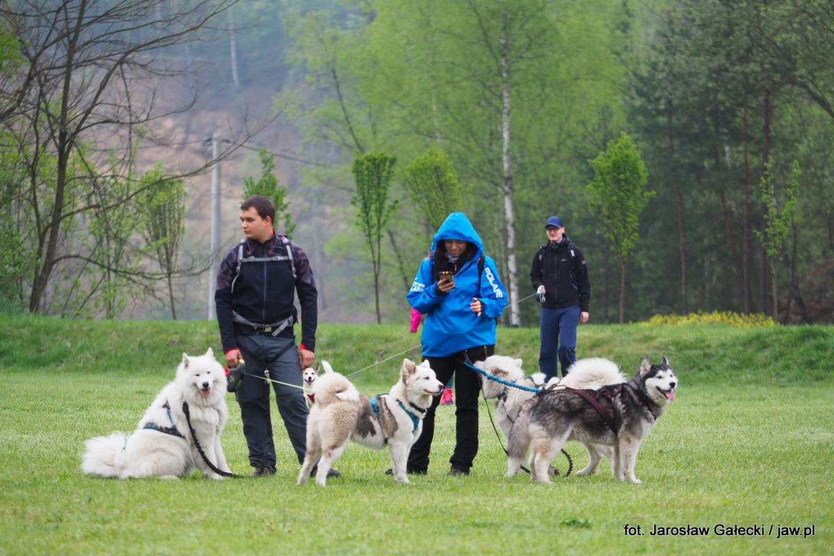 I Jaworznicki DogTrekking