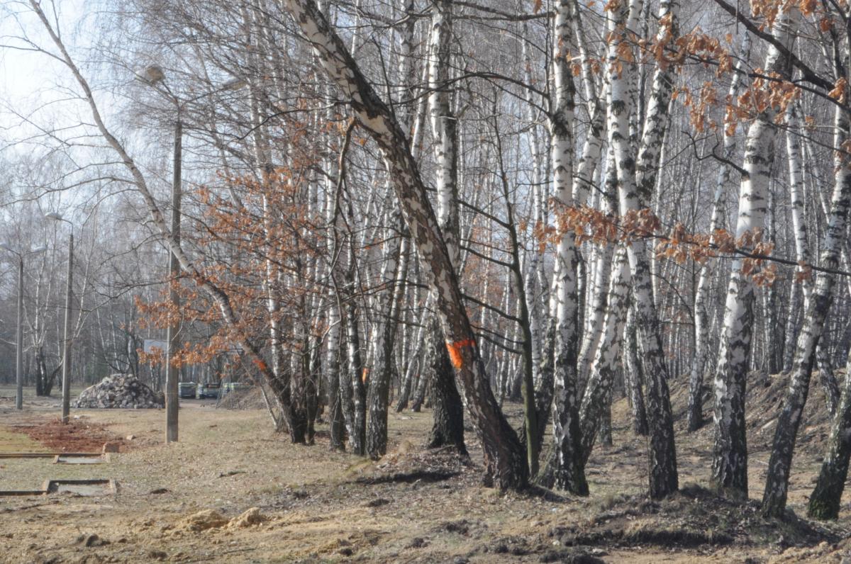 Park na Podłężu ma obcować z naturą