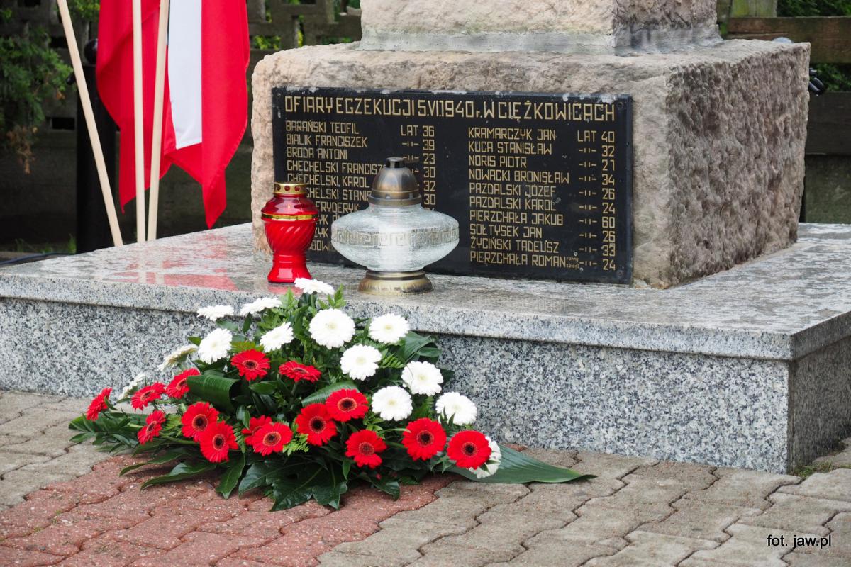 Uroczystości pod pomnikiem w Ciężkowicach  - galeria