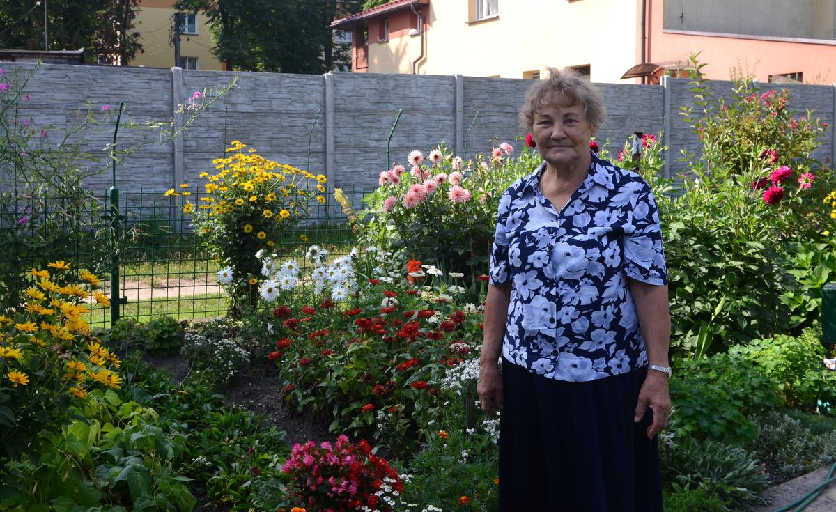 Piękne jaworznickie ogródki działkowe