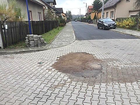 Plaga szczurów w mieście? Mieszkańcy Starej Huty mają spory problem.