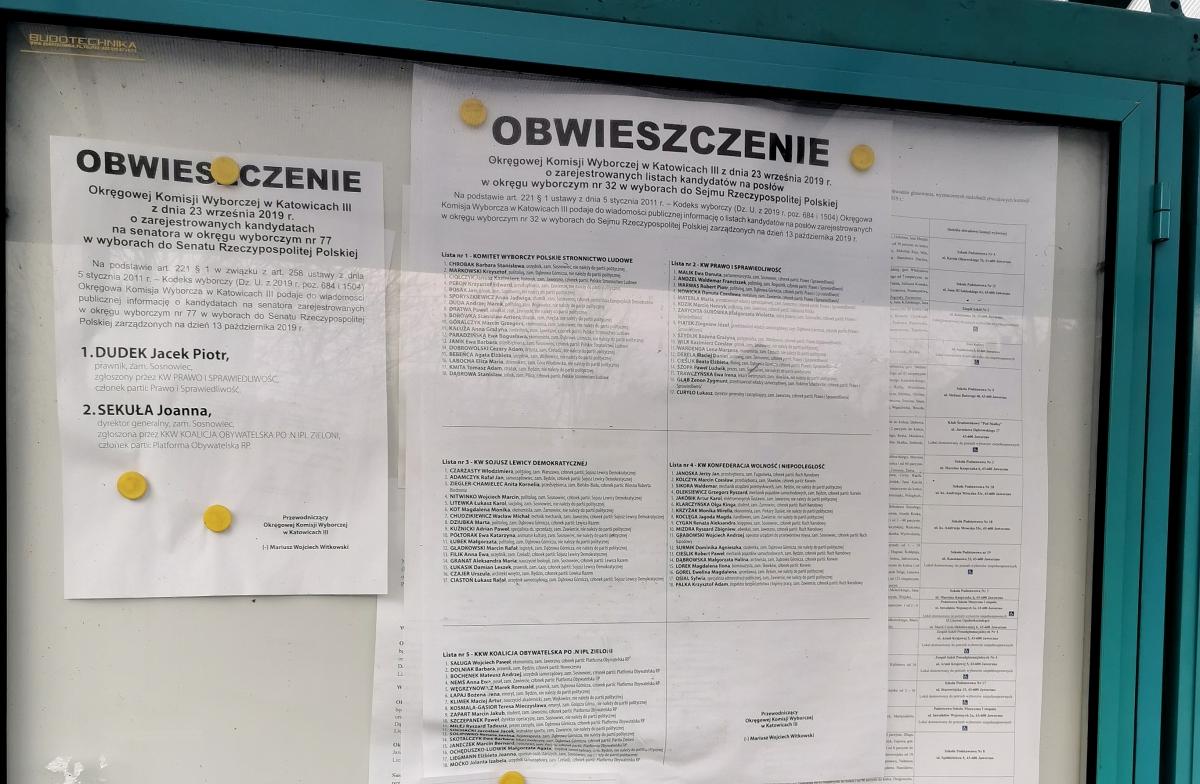 Sylwester z materiałami wyborczymi