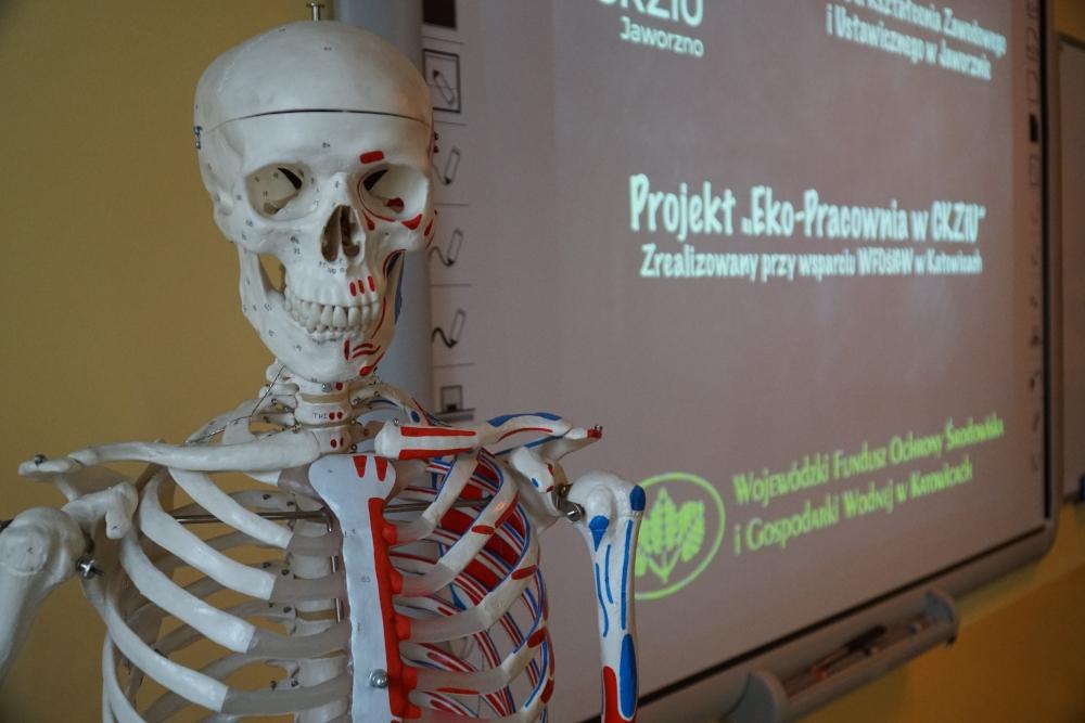 EKO-Pracownia w CKZiU