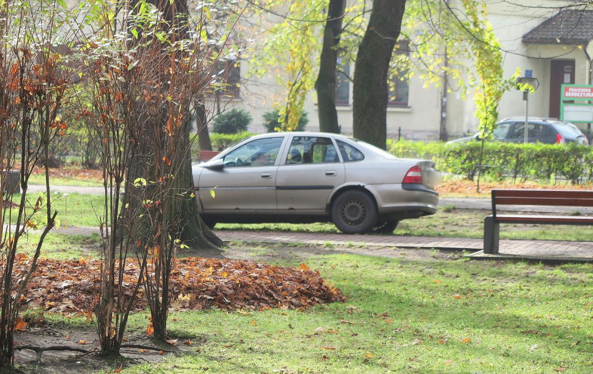 Ktoś pomylił park z parkingiem?