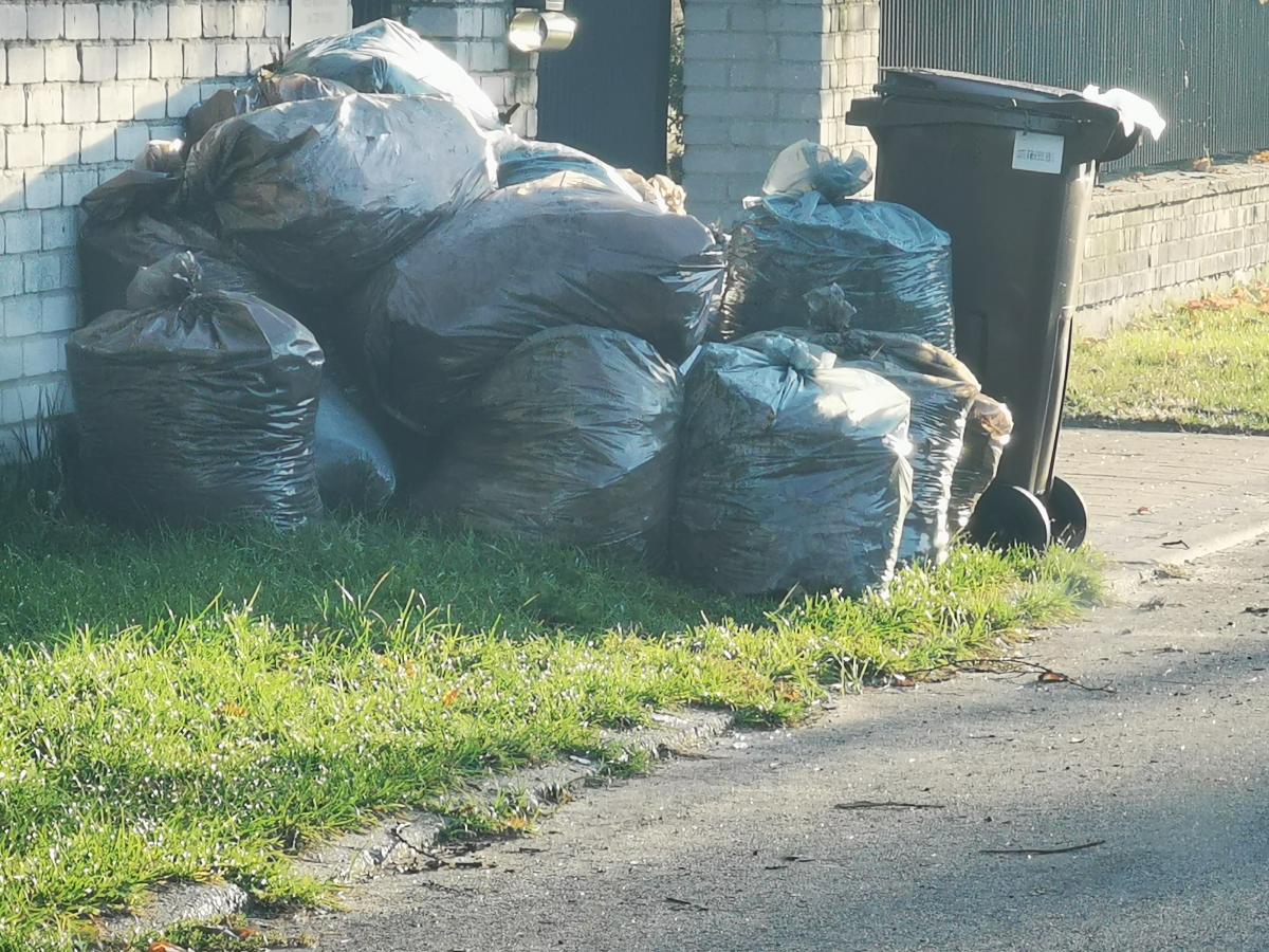 Liści przybywa. I co z nimi zrobić?