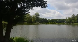 TARKA - list Stowarzyszenia Zielone Jaworzno