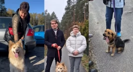Zbiórka dla psów do adopcji. Wesprzyj potrzebujące zwierzęta