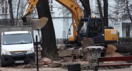 Z parku miejskiego zniknęło jedno z drzew