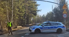 Policja alarmuje: Tragiczne statystyki bezpieczeństwa na drogach Jaworzna