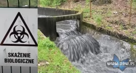 Ścieki wpuszczone do Wąwolnicy - mieszkańcy Jelenia alarmują