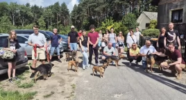 Spaceruj i pomagaj. Kolejny spacer z psami do adopcji już we wrześniu