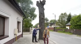 Mieszkańcy Niedzielisk protestują przeciwko wycince drzew