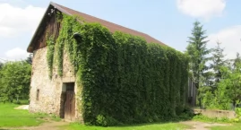 Długoszyn - ciekawa historia