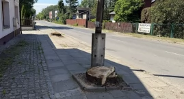 Wycinają drzewa, bo będą kolidować z drogą. Urząd tł&hellip;