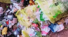 Dziki rozrywają worki ze śmieciami. Mieszkanka Jawor&hellip;