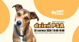Informacje kulturalne, wydarzenia: 24 czerwca – 30 czerwca