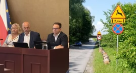 Kłody przy Zalewie Sosina w Jaworznie. Lasy Państwow&hellip;