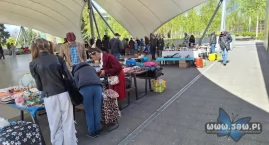 Lipcowy Pchli Targ w Jaworznie odwołany