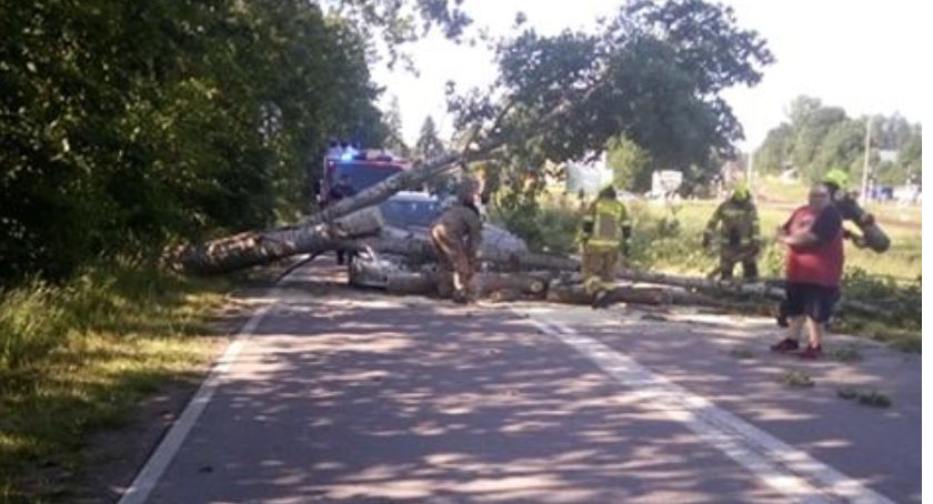 Dziemiany. Drzewo spadło na samochód - poszkodowana 10-latka