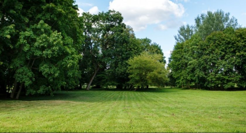 Lipusz. Powstaje nowy park rekreacyjny 