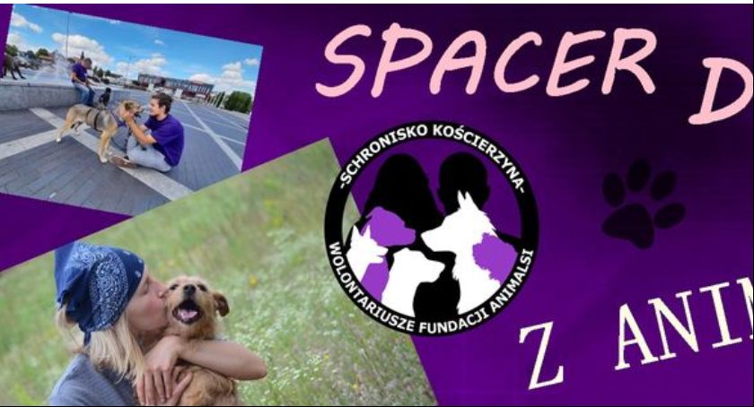 Już w niedzielę będzie można się udać na spacer do lasu z Animalspsami 