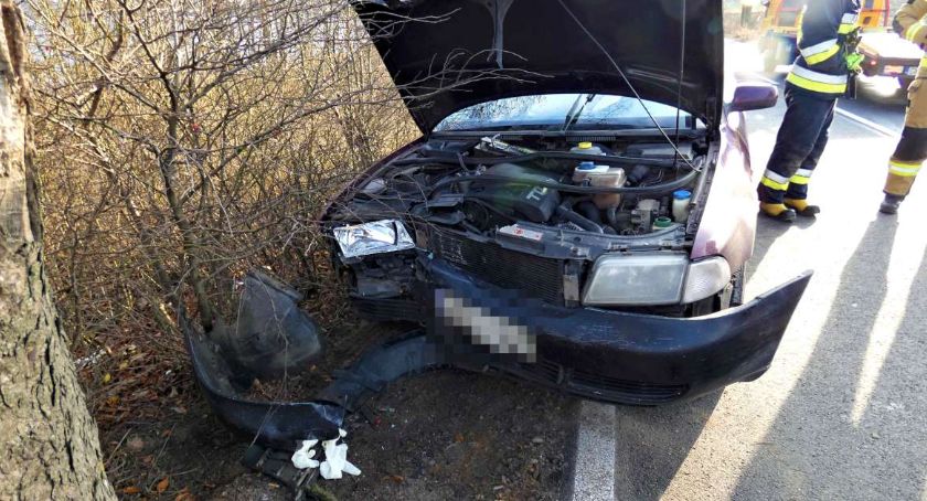 Audi rozbiła na drzewie, a sama trafiła do szpitala 