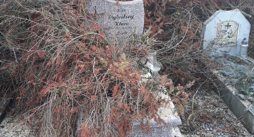 Konary, gałęzie na nagrobkach kościerskiego cmentarza