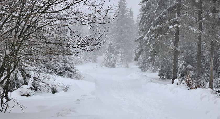 Nadciąga śnieżyca - wydano ostrzeżenia I stopnia