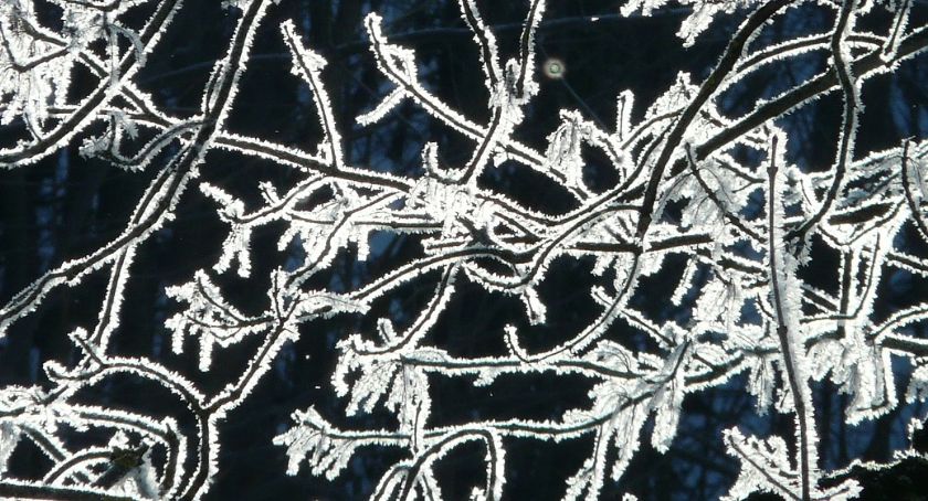 Uwaga na mróz! Temperatury mogą spaść 20 stopni poniżej zera!