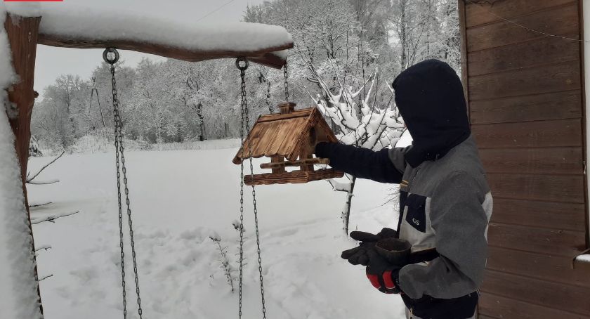 Mieszkańcy gminy Nowa Karczma przygotowali stołówki dla ptaków