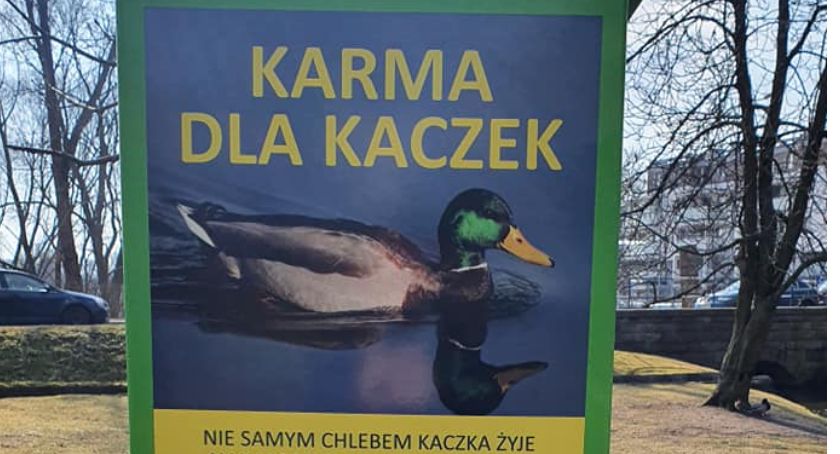 W Kościerzynie stanął...kaczkomat