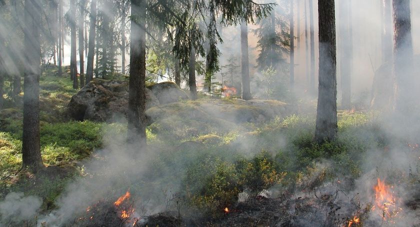Trzeci stopień zagrożenia pożarowego na terenie Nedleśnictwa Lipusz
