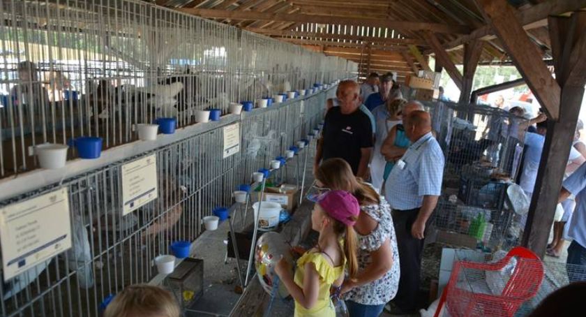W weekend Agro Targi i Pomorska Wystawa Zwierząt Hodowlanych w Lubaniu