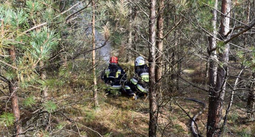 We wtorek ruszają krajowe ćwiczenia strażaków Las -2021