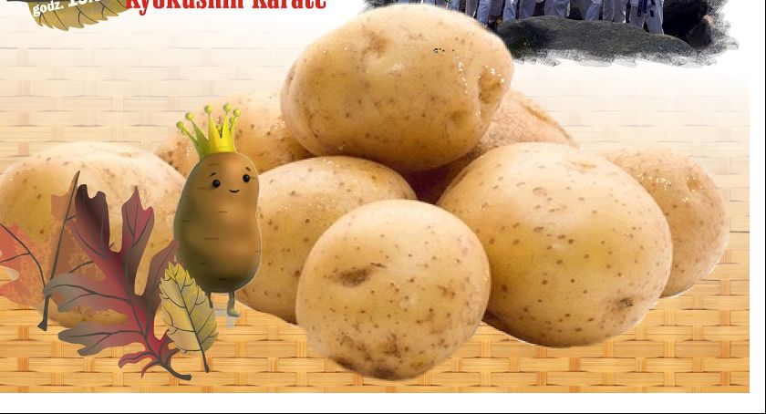 Jesienny Piknik Bulewny w Kościerzynie