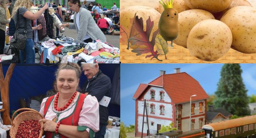 Weekend z Festiwalem Żurawiny, Giełdą Mam, makietami kolejowymi i piknikiem bulwowym