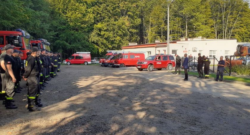 Strażacy z gminy Kościerzyna podczas specjalnej akcji gasili pożar lasu