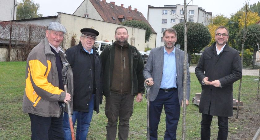 Ekologia. Zasadzono drzewa przy kościerskiej 