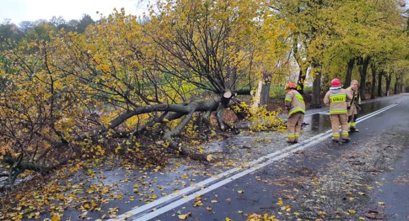 Zerwane dachy i uszkodzone auta. Strażacy interweniowali ponad 30 razy