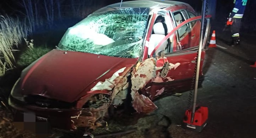 Bożepole. Rozbił forda na drzewie - nie miał prawa jazdy