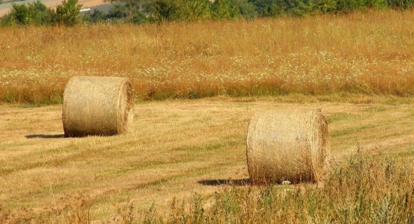 Rolnicy, którzy znaleźli się w trudnej sytuacji, nie mają złudzeń. Tańsza żywność to już historia