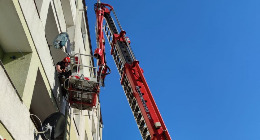 Kościerzyna. Zostawiła psa na balkonie i wyszła z domu - interweniowały służby 