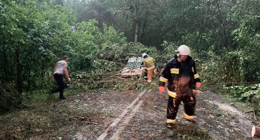 Uszkodzone budynki, powalone drzewa, uszkodzone linie - blisko 120 strażackich interwencji 