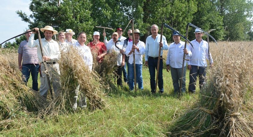 W Piechowicach przypomną jak to niegdyś koszono zboże
