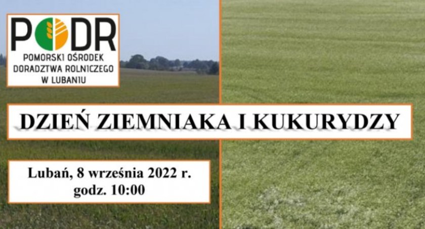 Dzień Ziemniaka i Kukurydzy w Lubaniu