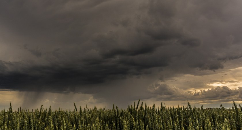 Zapowiada się burzowa niedziela - są ostrzeżenia